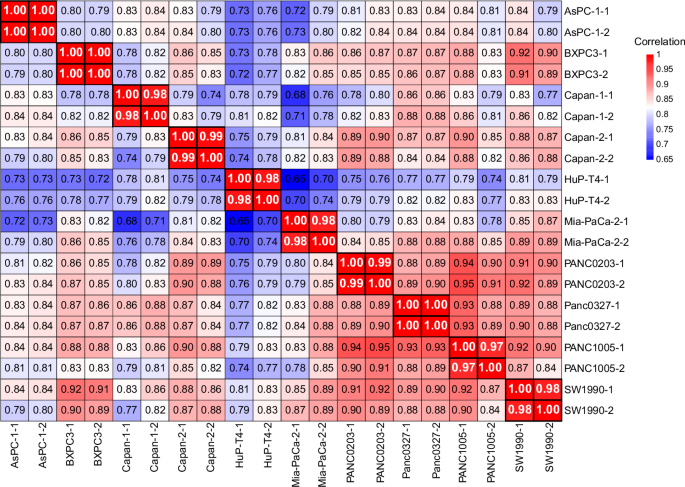 Long-read RNA sequencing dataset of human pancreatic cancer cell lines ...