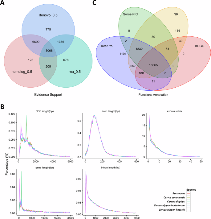 High-quality chromosome-scale genome assembly and annotation of ...
