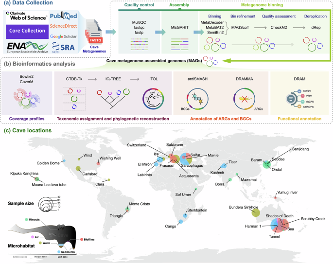 Reconstruction of 1,979 prokaryotic metagenome-assembled genomes from ...