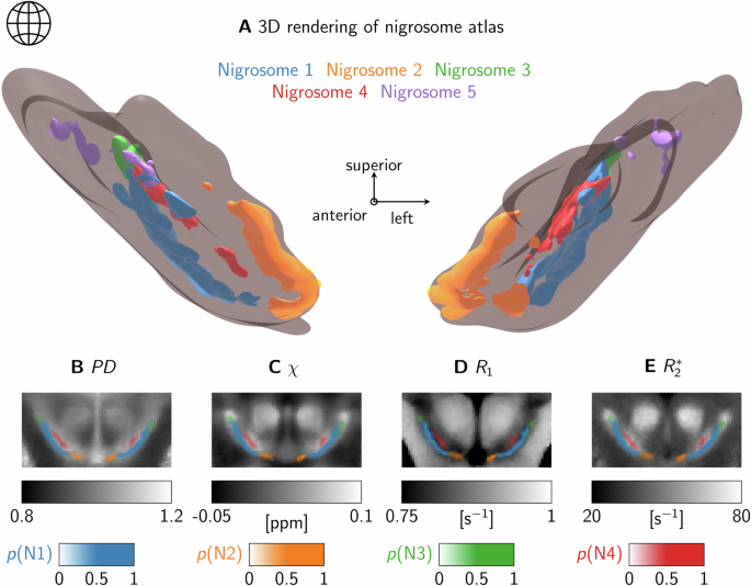 Fig. 4