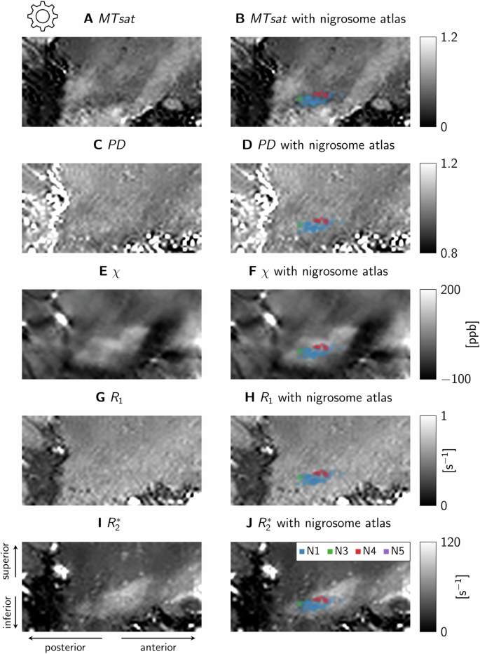 Fig. 9