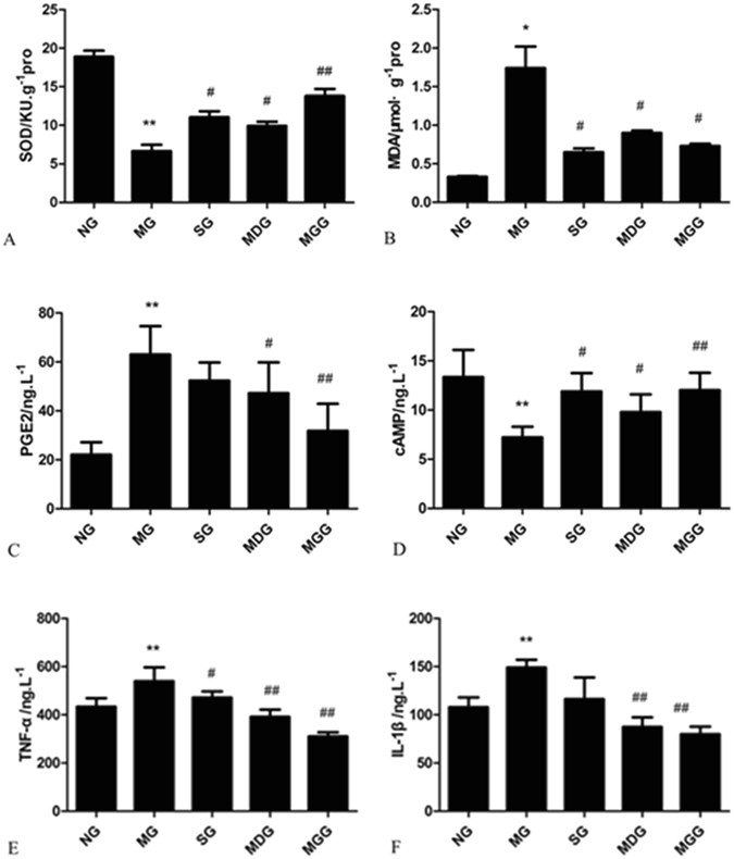 Cyclooxygenase 2 Signalling Pathway In The Cortex Is Involved In The Pathophysiological Mechanisms In The Rat Model Of Depression Scientific Reports