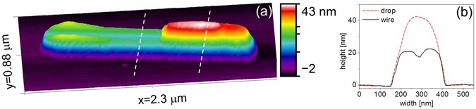 figure 9