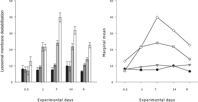 The Response Of A Boreal Deep Sea Sponge Holobiont To Acute Thermal Stress Scientific Reports