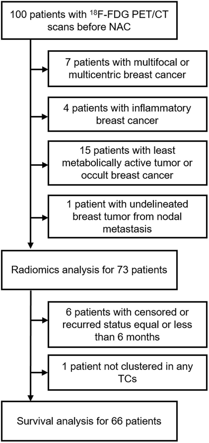 Metabolic Radiomics For Pretreatment 18 F Fdg Pet Ct To Characterize Locally Advanced Breast Cancer Histopathologic Characteristics Response To Neoadjuvant Chemotherapy And Prognosis Scientific Reports