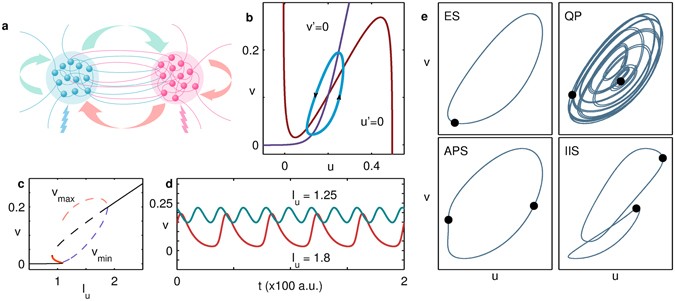 Emergence Of Coupling Induced Oscillations And Broken Symmetries In Heterogeneously Driven Nonlinear Reaction Networks Scientific Reports