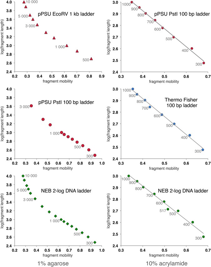 dna molecular weight markers