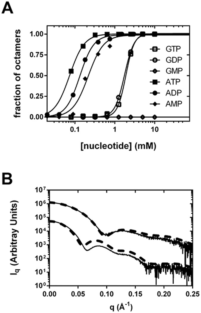 A Nucleotide Controlled Conformational Switch Modulates The Activity Of Eukaryotic Imp Dehydrogenases Scientific Reports