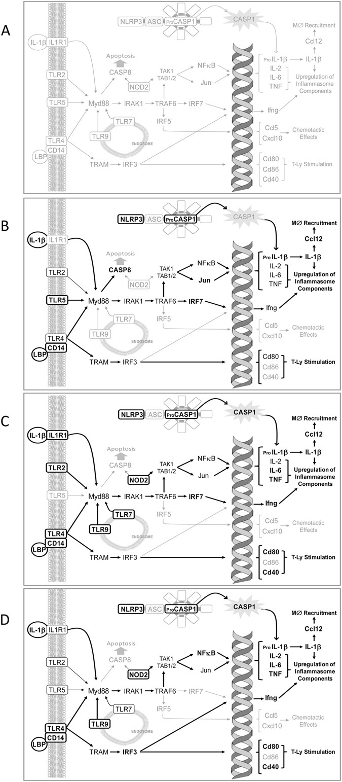 figure 9