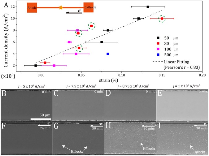 Microscope image of electromigration-induced hillock and void