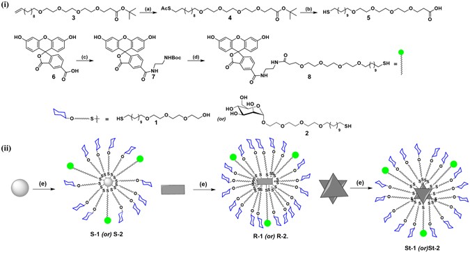 glyco 12 results