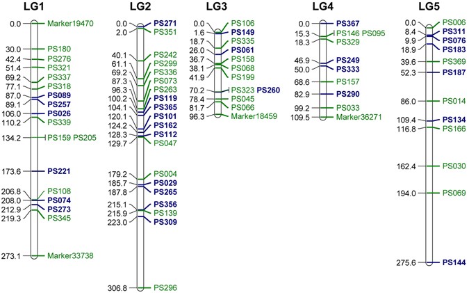 Genetic analyses reveal independent 