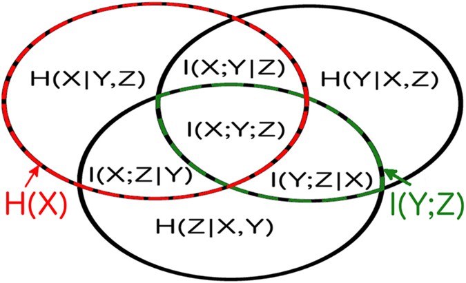 figure1