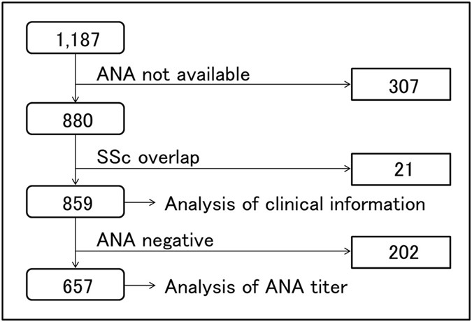 Ana Levels Chart