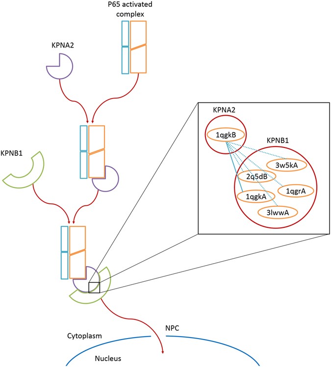 figure 10