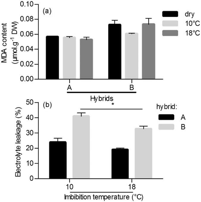 Chilling temperature remodels phospholipidome of Zea mays seeds during  imbibition | Scientific Reports