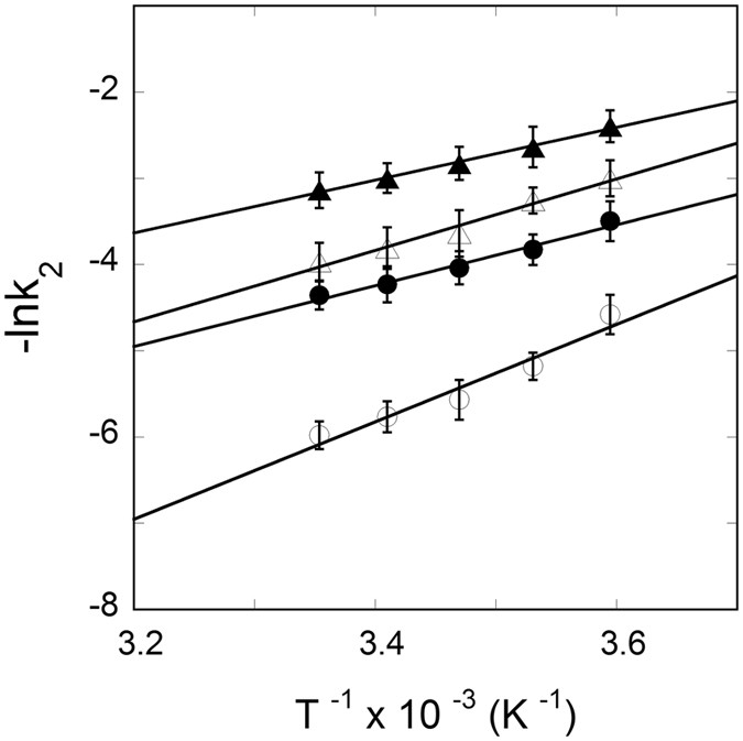 iron response element