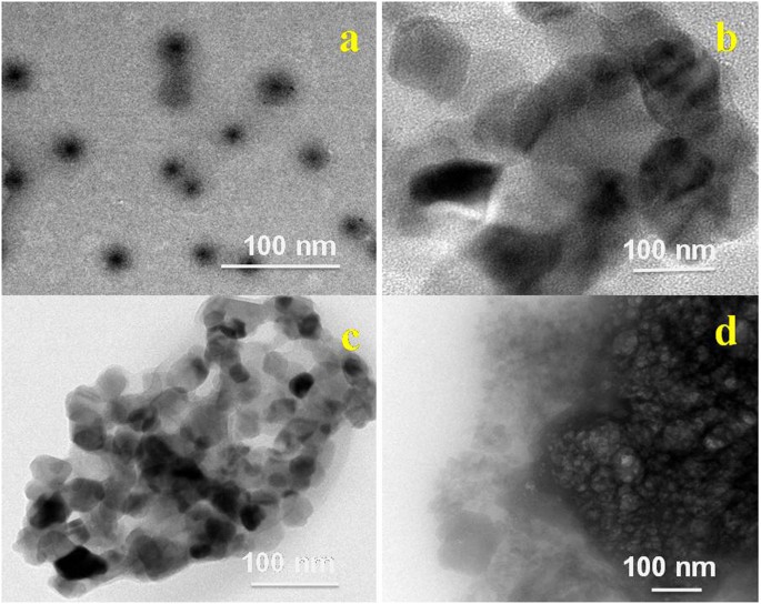 Efficiency Of Newly Formulated Camptothecin With B Cyclodextrin Edta Fe 3 O 4 Nanoparticle Conjugated Nanocarriers As An Anti Colon Cancer Ht29 Drug Scientific Reports