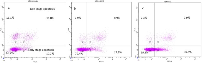 Efficiency Of Newly Formulated Camptothecin With B Cyclodextrin Edta Fe 3 O 4 Nanoparticle Conjugated Nanocarriers As An Anti Colon Cancer Ht29 Drug Scientific Reports