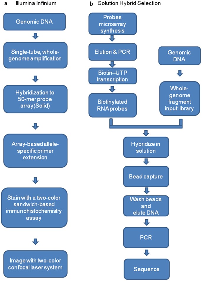software convert snp file jpg software convert snp file jpg
