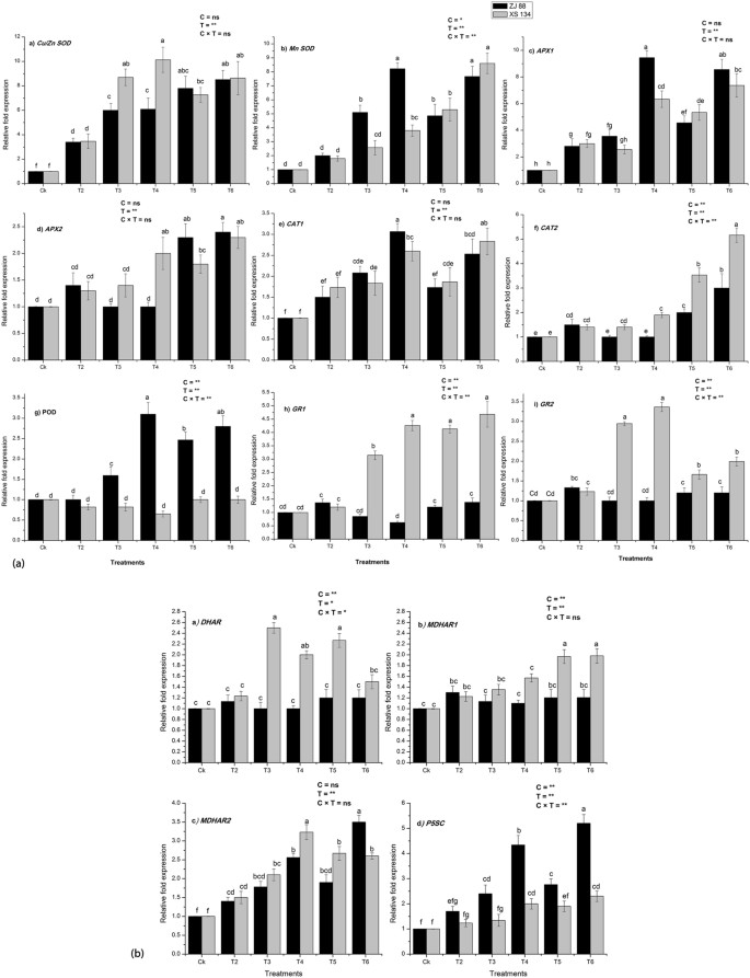 2 4 D Attenuates Salinity Induced Toxicity By Mediating Anatomical Changes Antioxidant Capacity And Cation Transporters In The Roots Of Rice Cultivars Scientific Reports