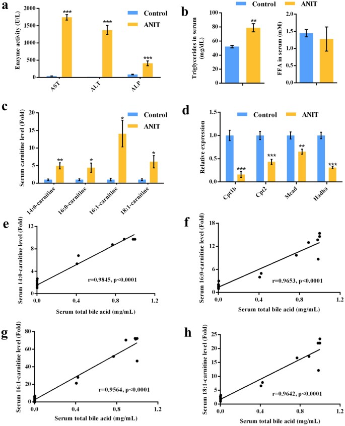 PPARα activation protects against cholestatic liver injury | Scientific  Reports