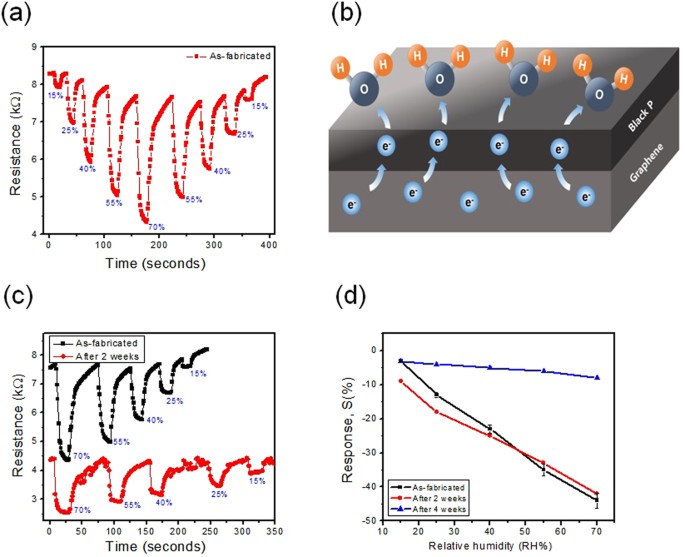 Black P Graphene Hybrid A Fast Response Humidity Sensor With Good Reversibility And Stability Scientific Reports