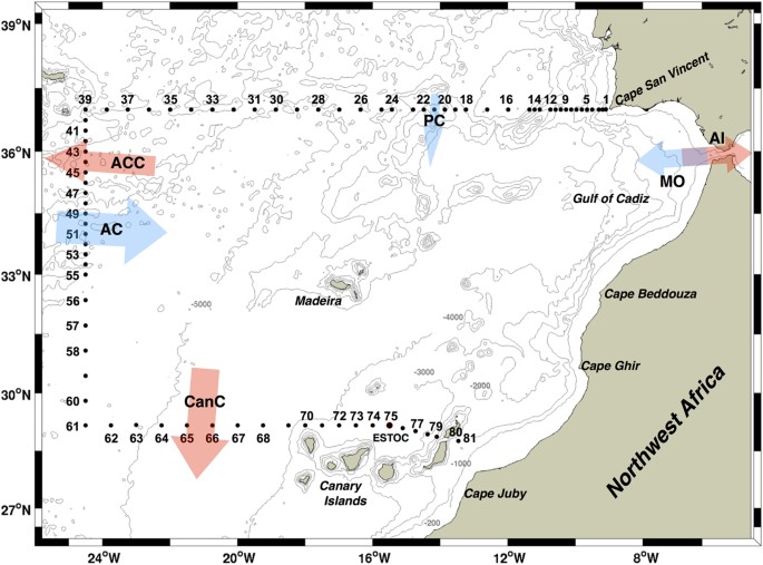 Organic Carbon Budget For The Eastern Boundary Of The North Atlantic Subtropical Gyre Major Role Of Doc In Mesopelagic Respiration Scientific Reports