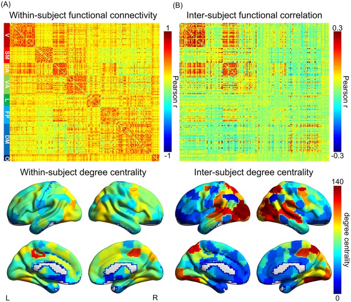 Inter Subject Functional Correlation Reveal A Hierarchical - 