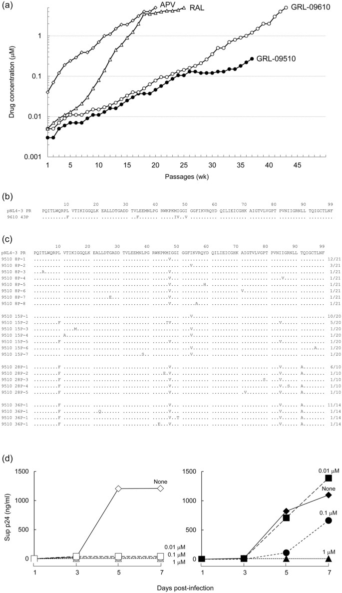 Grl A Unique P2 Crown Tetrahydrofuranylurethane Containing Hiv 1 Protease Inhibitor Maintains Its Favorable Antiviral Activity Against Highly Drug Resistant Hiv 1 Variants In Vitro Scientific Reports