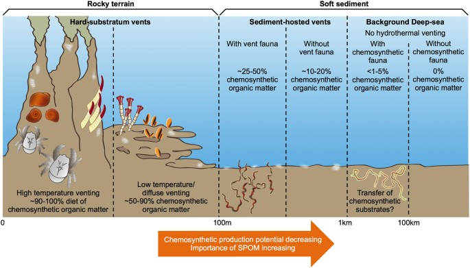 hydrothermal vent diagram