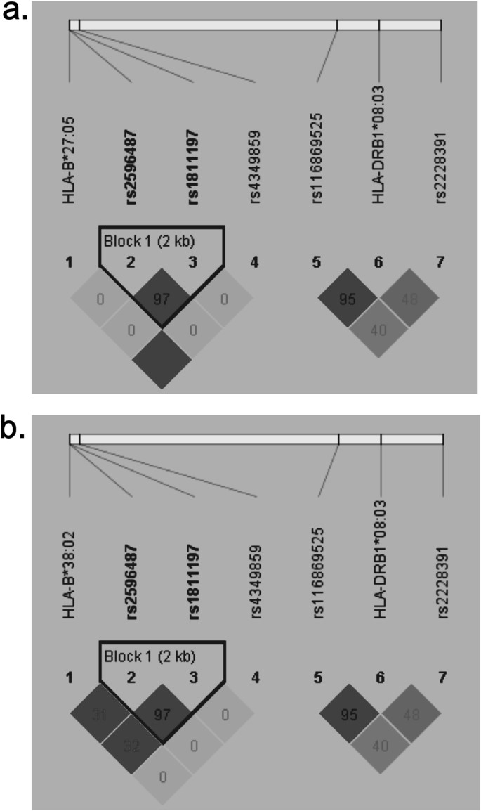 Association Of Hla B And Hla Drb1 Polymorphisms With Antithyroid Drug Induced Agranulocytosis In A Han Population From Northern China Scientific Reports