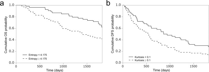 homogeneity and heterogeneity, Impact of hepatocellular carcinoma heterogeneity on computed tomography as a prognostic indicator