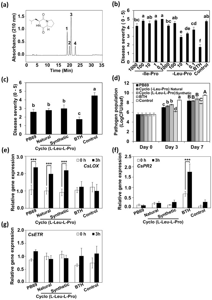 Seed Defense Biopriming With Bacterial Cyclodipeptides Triggers Immunity In Cucumber And Pepper Scientific Reports
