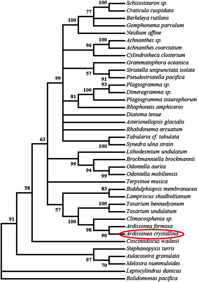 figure 10