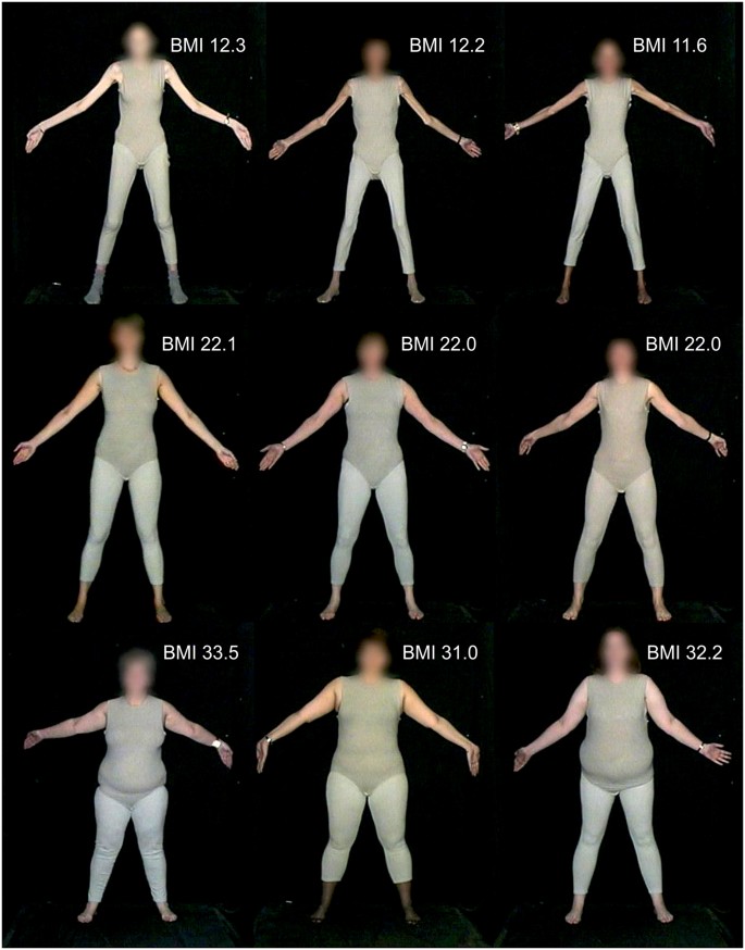 Body size estimation in women with anorexia nervosa and healthy controls  using 3D avatars | Scientific Reports