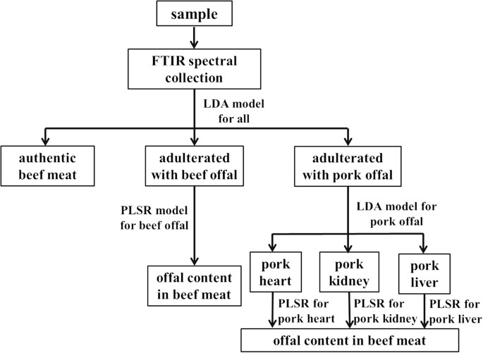 Beef Identification Chart