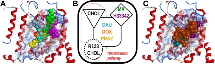 figure 12