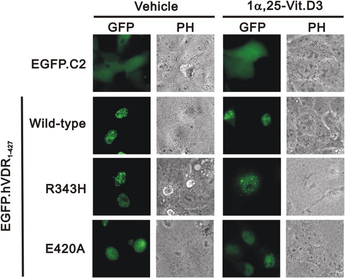 figure4