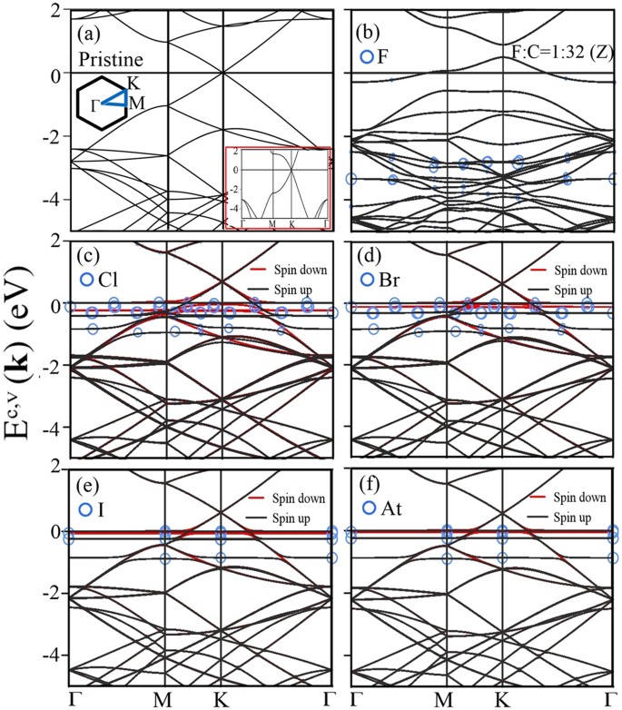 Coverage Dependent Essential Properties Of Halogenated Graphene A Dft Study Scientific Reports