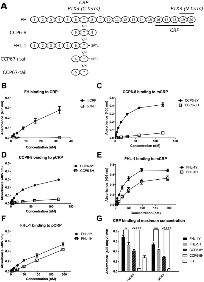 C Reactive Protein And Pentraxin 3 Binding Of Factor H Like Protein 1 Differs From Complement Factor H Implications For Retinal Inflammation Scientific Reports