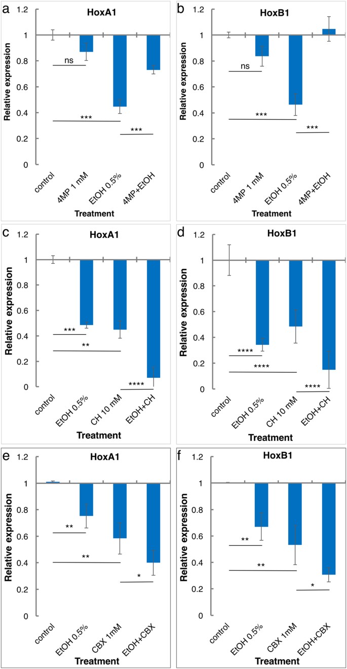 Acetaldehyde inhibits retinoic acid biosynthesis to mediate alcohol  teratogenicity | Scientific Reports