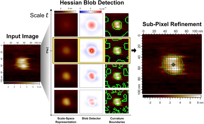 The Hessian Blob Algorithm: Precise Particle Detection in Atomic Force  Microscopy Imagery | Scientific Reports