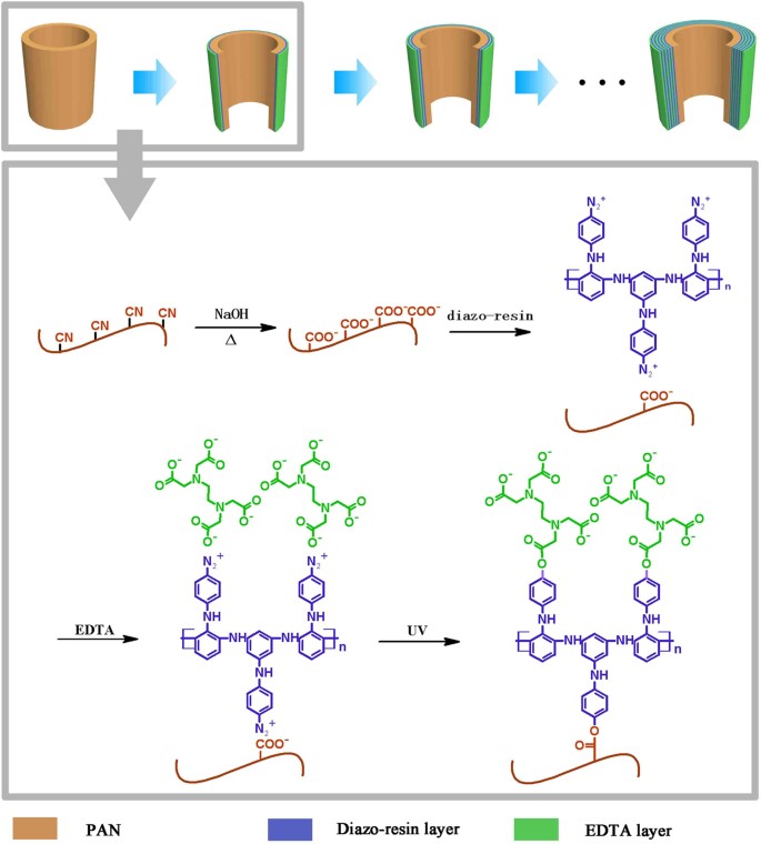 Advanced Modified Polyacrylonitrile Membrane With Enhanced Adsorption Property For Heavy Metal Ions Scientific Reports