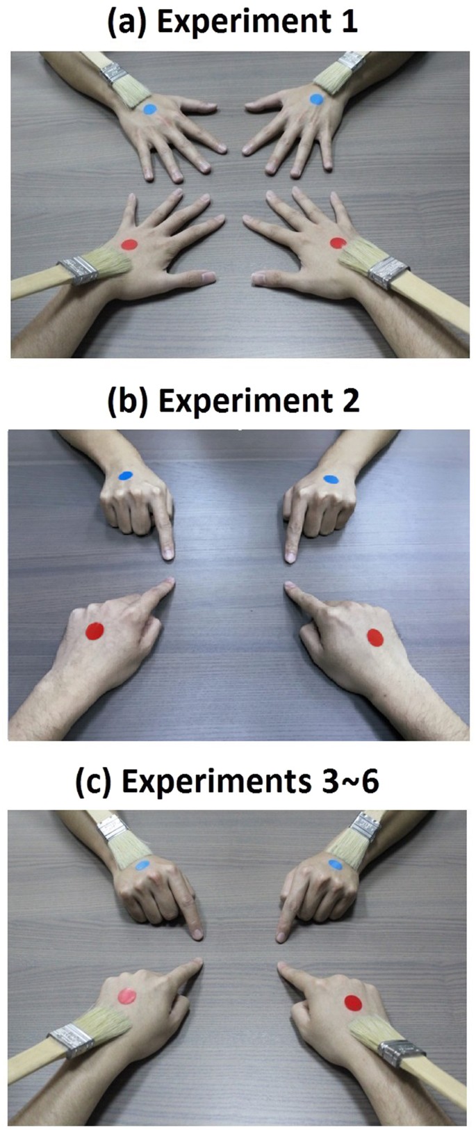 Body ownership and the four-hand illusion | Scientific Reports