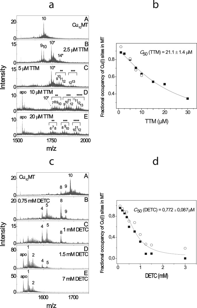 PDF) WTX101 in patients newly diagnosed with Wilson disease: final