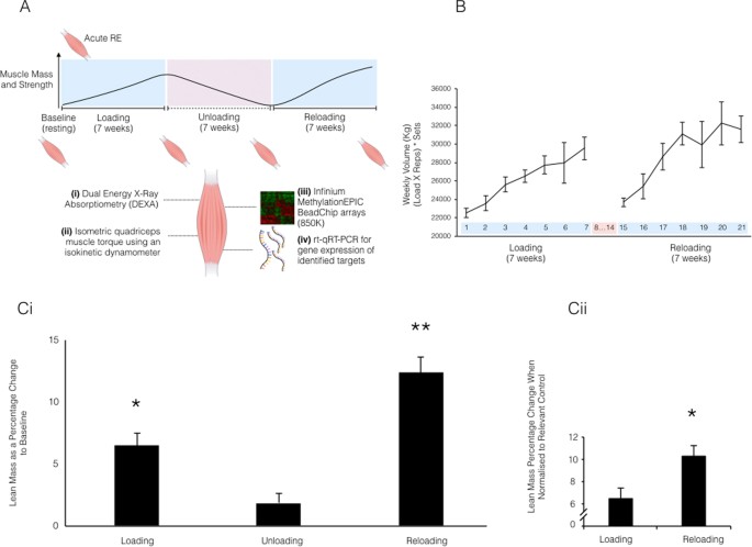 figure1