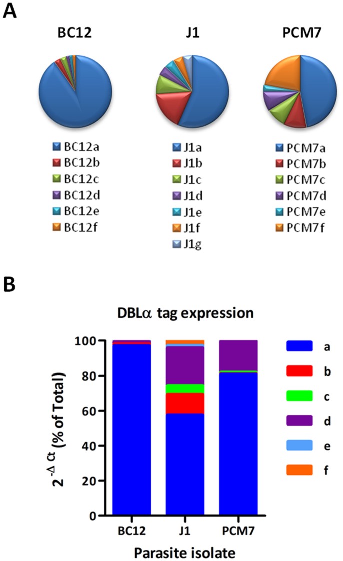 In silico guided reconstruction and analysis of ICAM-1-binding var genes  from Plasmodium falciparum | Scientific Reports