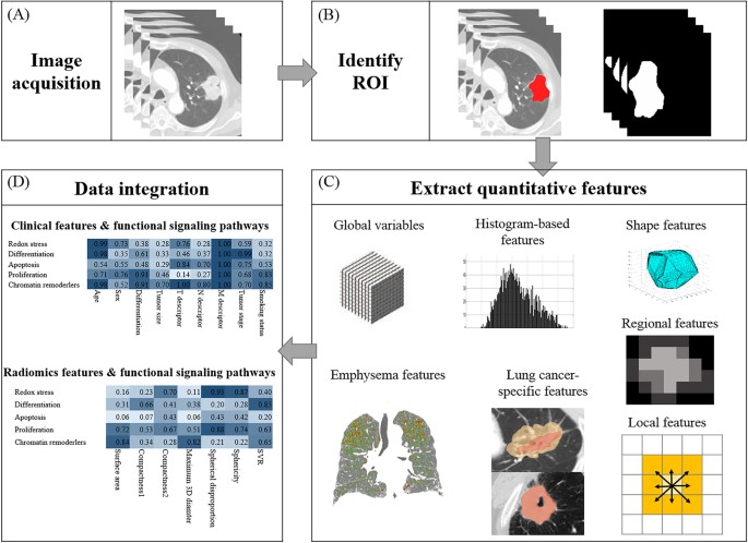Quantitative Imaging Driver