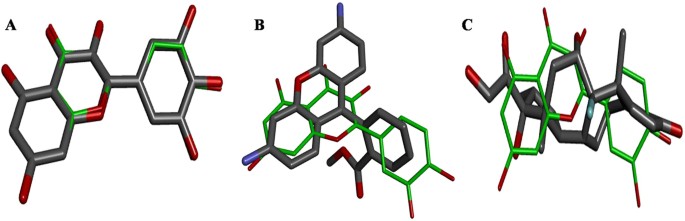 Does quercetin thin the blood
